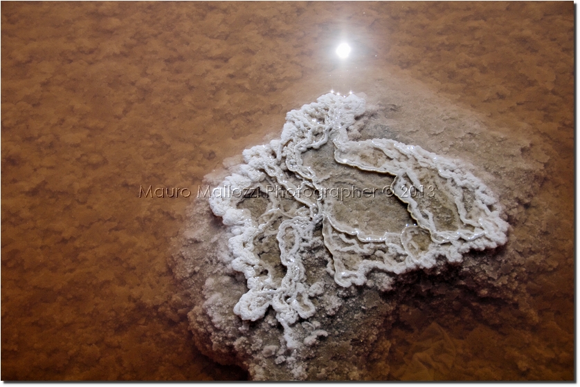 Trapani 2012 - Salina Maria Stella WWF