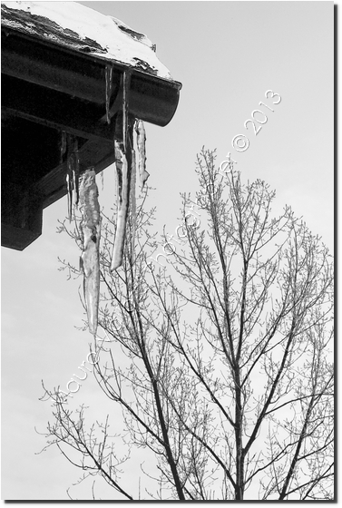 Auschwitz 27 01 2010 - Giornata Europea della Memoria