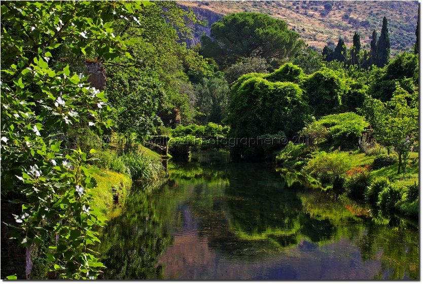 Cisterna di Latina 2008 - Giardini di Ninfa