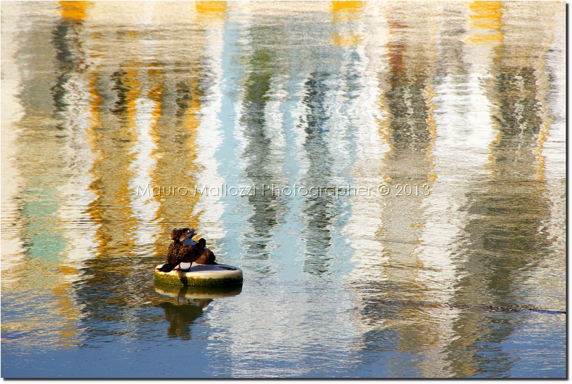 Siviglia 2009 - Guadalquivir