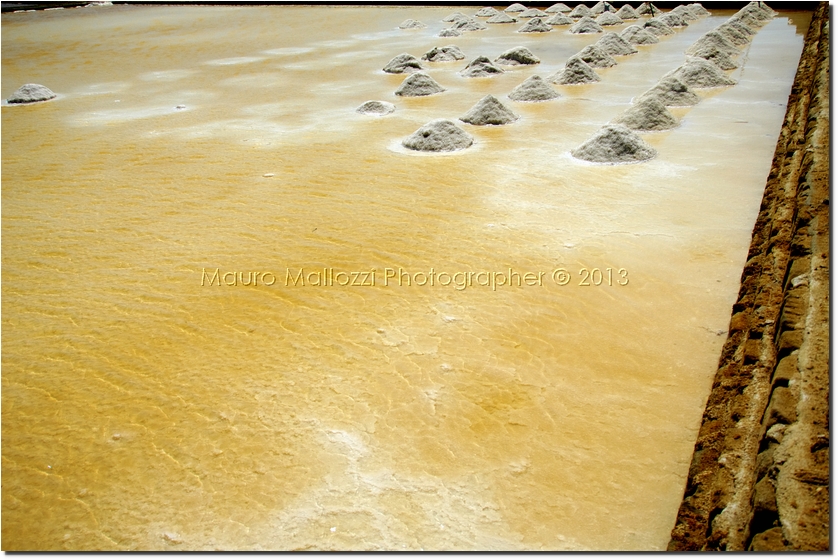 Trapani 2012 - Saline di Trapani e Paceco