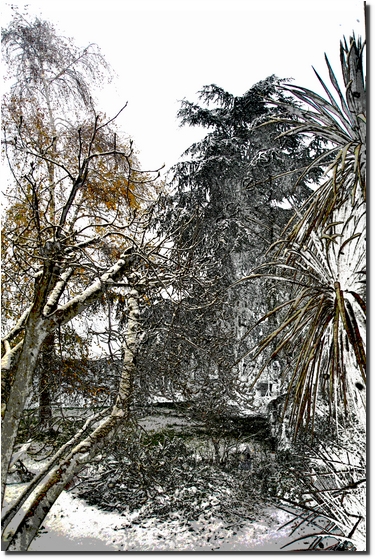 Cisterna di Latina 17 Dicembre 2010 - My Home