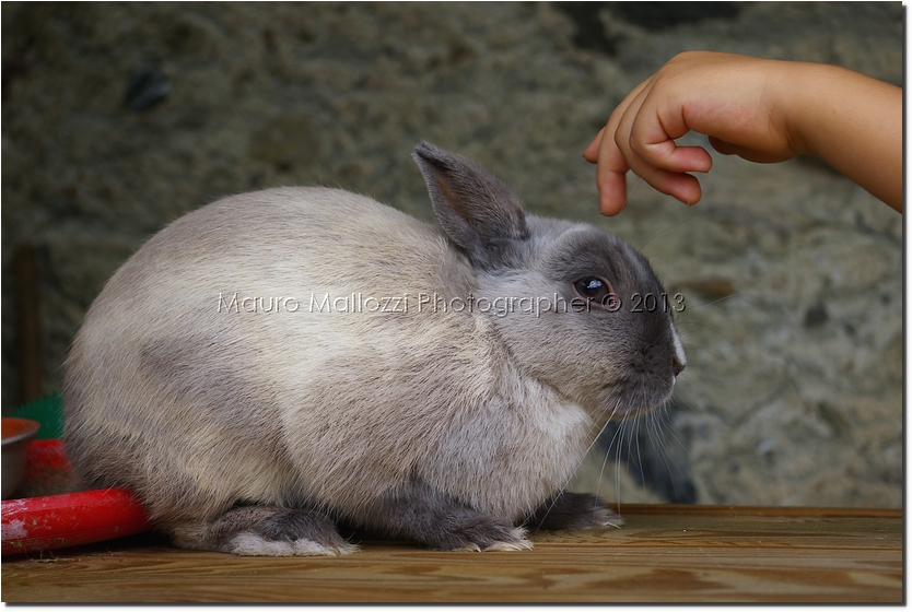 Bressanone 2005 - Castel Velturno