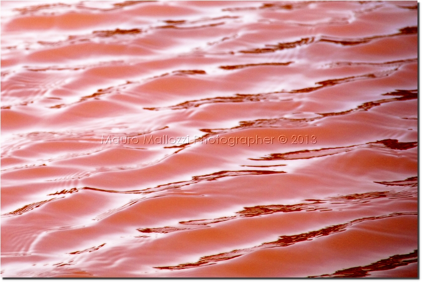 Trapani 2012 - Salina Calcara Saline di Trapani e Paceco