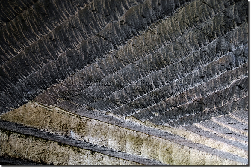 Isola di Favignana 2013 - Il Giardino Ipogeo